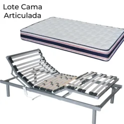 Lote de cama articulada