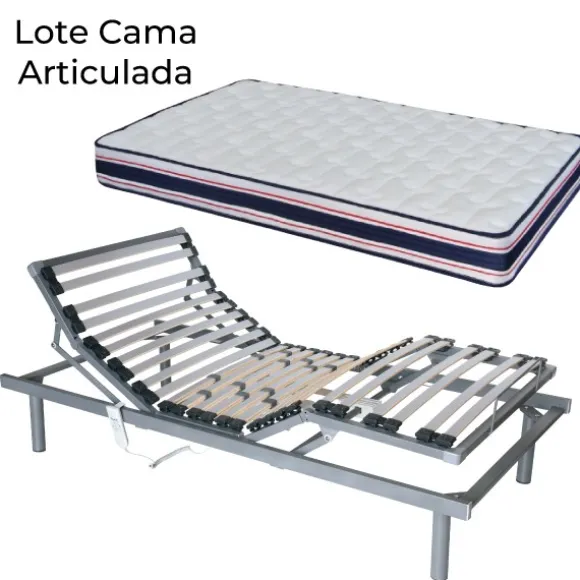 Lote de cama articulada