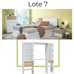 Lote muebles 07 EXPRESS