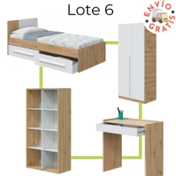 Lote muebles 06 EXPRESS
