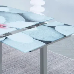 Mesa extensible Flores + 4 sillas Fina