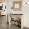 Recibidor consola HI