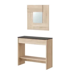 Recibidor consola HI