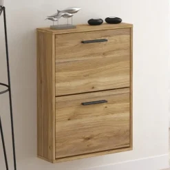 Zapatero 2 puertas aura
